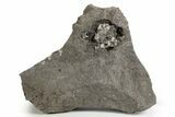 Herkimer Diamonds in Matrix - The Ace of Diamonds Mine, New York #324505-1